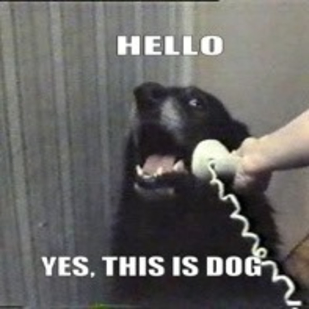 Meet your Posher, Connie